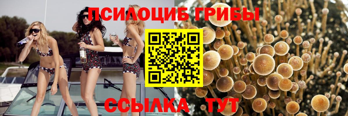 Добрянка  Галлюциногенные грибы мицелий  Вход с VPN 